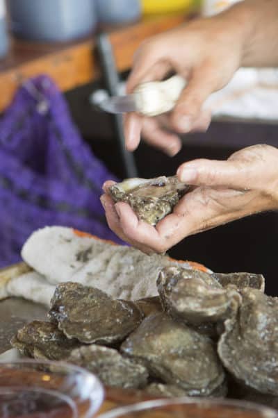 Oysters