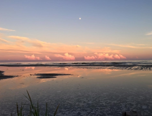 Folly Beach Photo Submissions