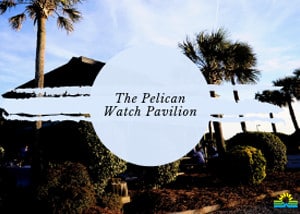 The Pelican Watch Pavilion