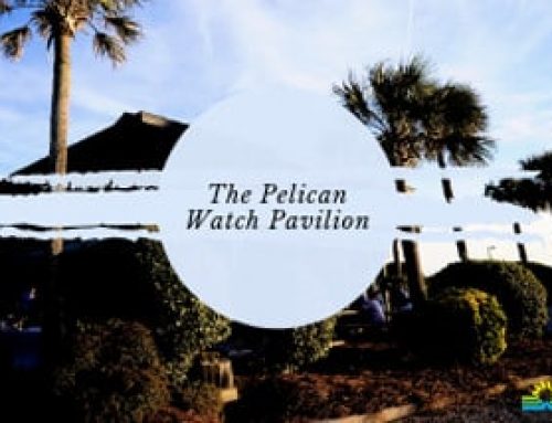 Pelican Watch Pavilion at Folly