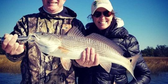 Redfish