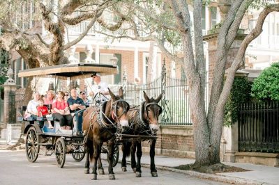 carriage Tours