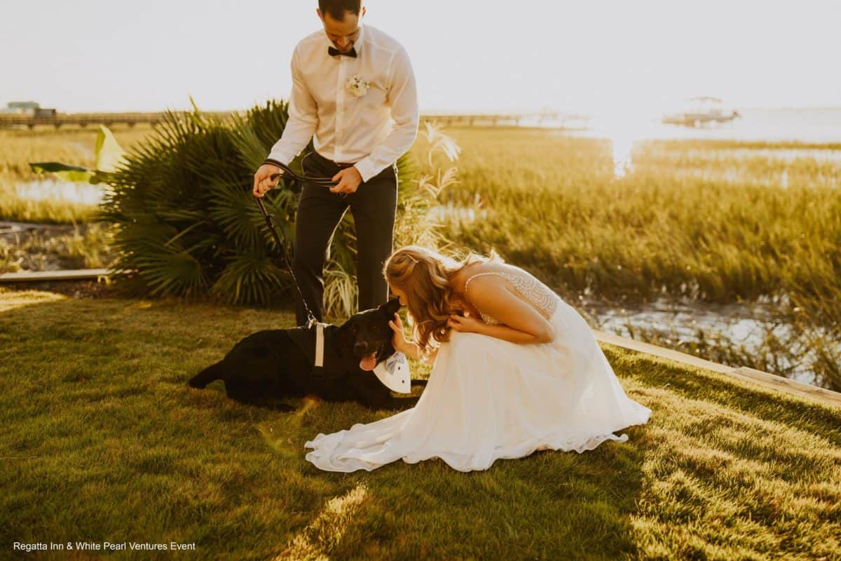 Couple With Dog after Wedding