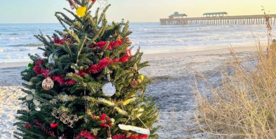 Christmas Tree on Folly Beach