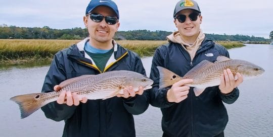 red drum fishing charleston