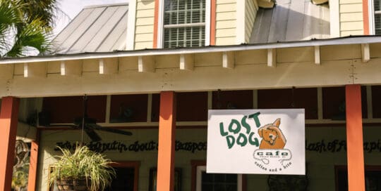Lost Dog Cafe Folly Beach