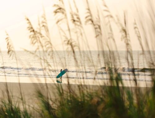 Planning the Perfect Fall Day on Folly