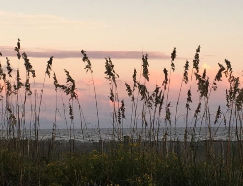 Why Winter Is the Best Time to Plan Your Spring Folly Beach Vacation