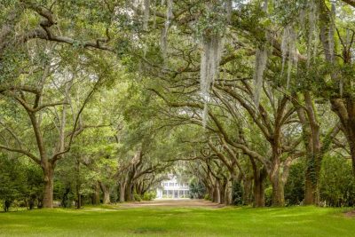 Charles-Towne-Landing-400×267