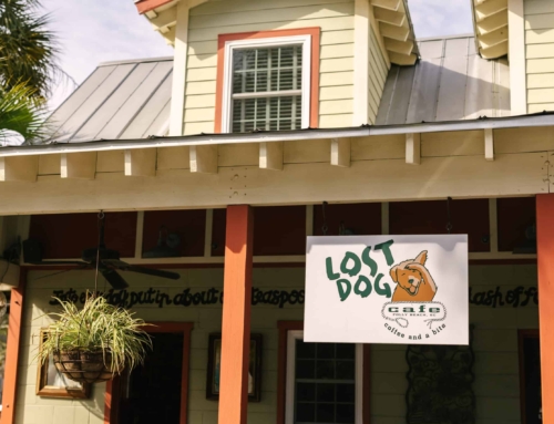 The Perfect Fall Day on Folly Beach