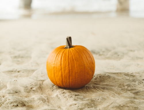 Halloween on Folly 2025: Your Guide to Oct 30-31