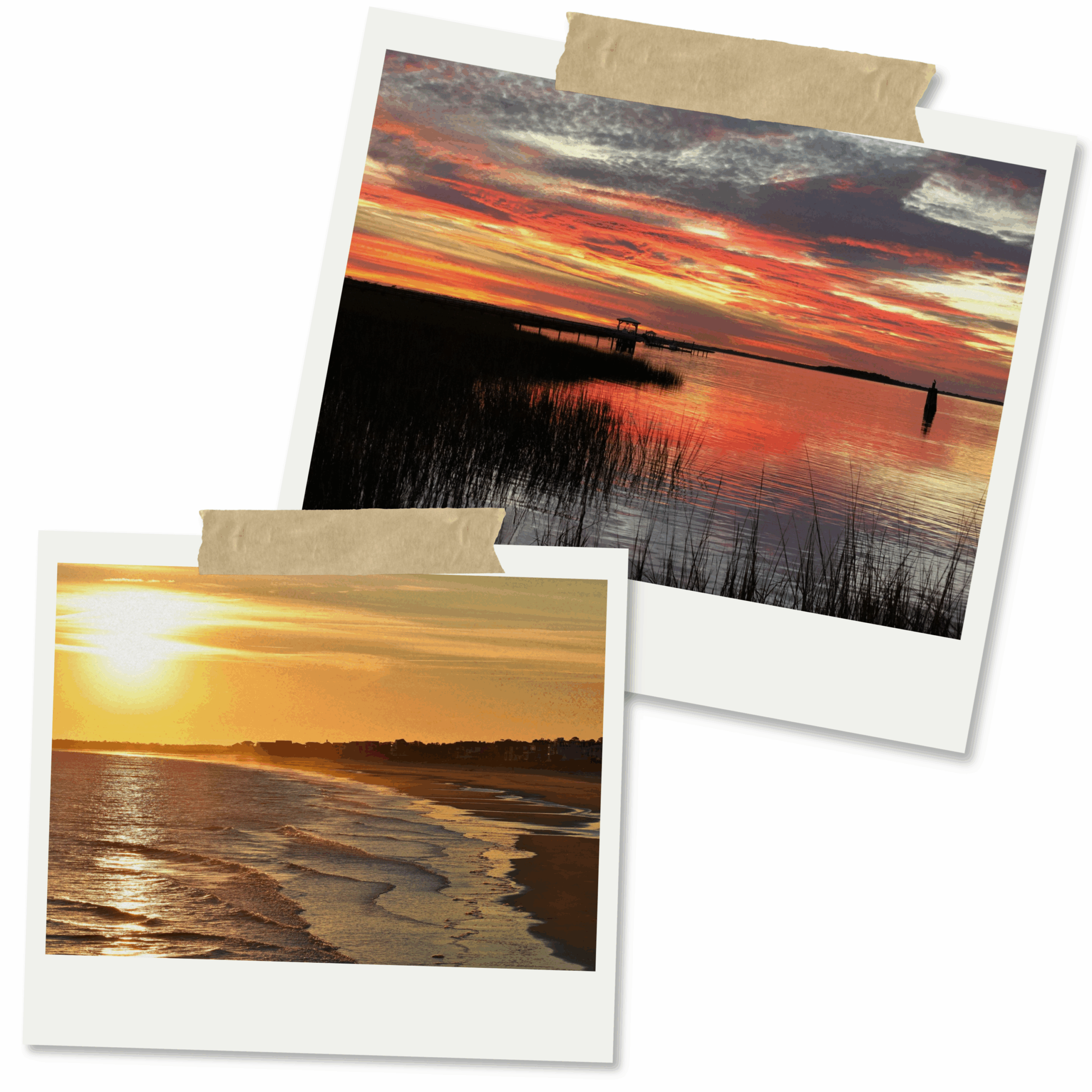 Untitled design (35)