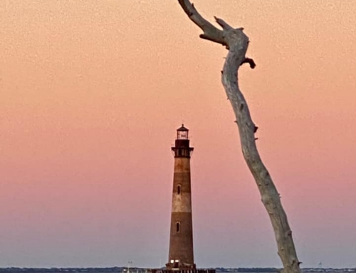 Top Reasons to Visit Folly Beach This Spring (Hint: Perfect Weather + Fewer Crowds!)