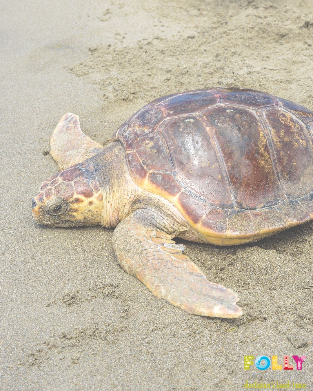 487454760_1055153359974104_3651719928903326165_n