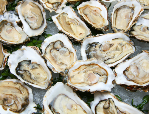 Oyster Season on Folly: A Lowcountry Tradition Worth Savoring